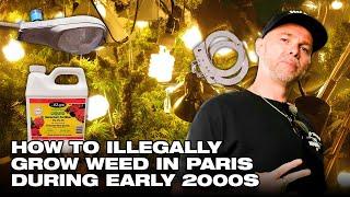 What You Didn’t Know About 2000s Paris Growing