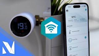 Energie sparen mit Smart Home - GÜNSTIGE Gadgets von Nedis SmartLife | Nils-Hendrik Welk