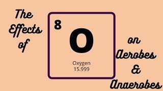 Effects of Oxygen on Aerobes and Anaerobes | How to Remember Microbiology