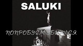 SALUKI — Попробуем Убиться (Предок «ОГНЕЙ»)