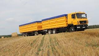 Зерновоз МАЗ-6501А8 Колос в динамике