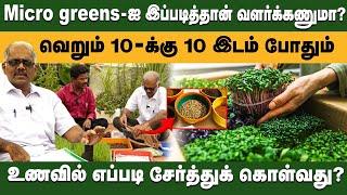 wheat Grass - ஐ இப்படித்தான் வளர்க்கணுமா? வெறும் 10 - க்கு 10 இடம் போதும் | Micro Greens production