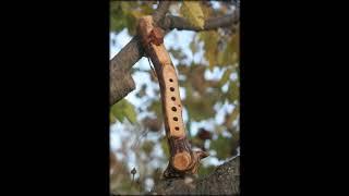 Poloe Derevo - Native American style flute Key A min - sound sample