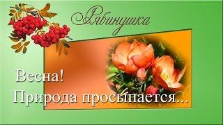 Весна! Природа просыпается...