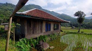 Hidup di desa terujung pinggir hutan di kelilingi sawah begitu asri dan indah