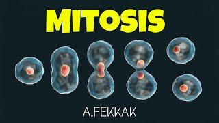 Mitosis  3D animation (cell division) - Mitose