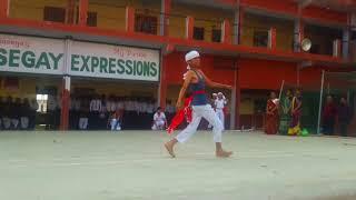 International labour day dance performance Nosegay Students choreographed by RONIT KUMAR 7500170213