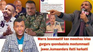 Taatee qaanessaa jarri hojjattu WBO f ka meeshaa gurguru qondaalota jawar....kumandara odoo meeshaa