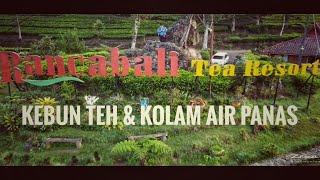 Explore Jawa Barat, Kebun Teh & Kolam Air Panas Ciwalini Ciwidey Bandung