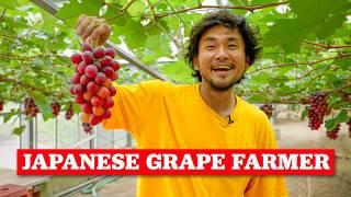 What Growing Premium Grapes in Japan is Like