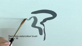 Da Vinci Red Sable Watercolour Brush Series 36 Demo