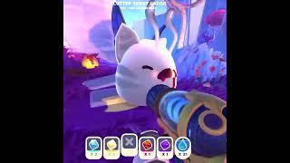 trying to find the BEST flutter slime combo #SlimeRancher2