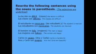 Agreement of nouns and adjectives