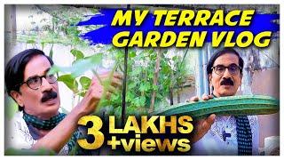 மாடி தோட்டம் | My Terrace Garden Vlog | Manobala's Kitchen