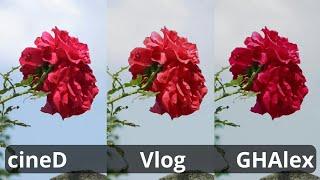 cineD vs Vlog vs GHAlex comparison  Panasonic g85