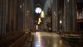 Uppsala Cathedral (Uppsala Domkyrka) in Uppsala, Sweden. Interior 360 and ceiling quick pan