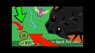 Nation ! Mope.io ! MINI GIANT SPIDER vs ALL ANIMALS! WORLDS SMALLEST SPIDER TROLLING KILLS