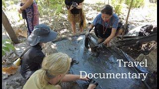 Natural Colours of Sumba - A travel documentary of dyeing materials and processes