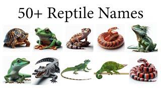 Reptile Names with Pictures l different types of Reptiles - English Vocabulary.