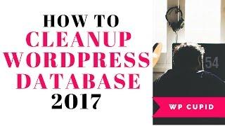 How To Cleanup Your WordPress Database For Improved Performance 2019