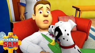 Fireman Sam's Animal Friends! | Fireman Sam Official | Cartoons for Kids