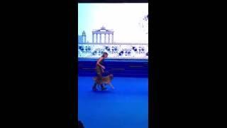 Heelwork to Music and Freestyle World Championships at WORLD DOG SHOW 2016, Moscow