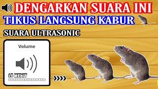 Suara pengusir tikus paling ampuh | Tikus langsung kabur 15 Menit