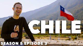 Wine Tour In Chile? Adventure In The World's Longest Country!
