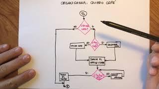 Programación: Diagramas de flujo y pseudocódigo