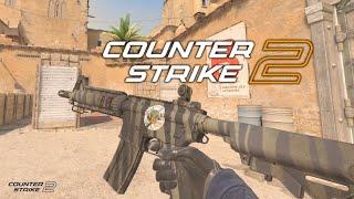 M4A4 Zebra Skin | 4K60FPS Showcase & Review