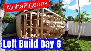 Homing Racing Pigeon Loft Construction Day 6