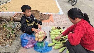 New life in Khai's wooden house, harvesting sticky corn to sell, and taking care of chickens.