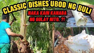 "Ubod ng Buli: Gulay na Pina-Sarap Tikman at Subukan!"