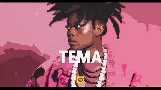 ''Tema'' - Zanku Bounce  South African  AmaPiano Type Beat | Afrobeat Afrohouse Instrumental