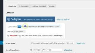 Instagram Feed Access Token