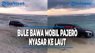 VIRAL BULE DI BALI BAWA MOBIL PAJERO SAMPAI NYASAR KE LAUT | @TRIBUNLAMPUNGNEWSVIDEO