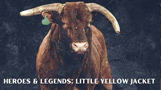 Heroes and Legends of the PBR: Little Yellow Jacket