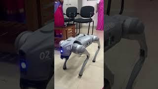 Guys meet my new pet ROBO DOG#shivanimenon #uppummulakum #youtubeshorts #trending #robot #dog