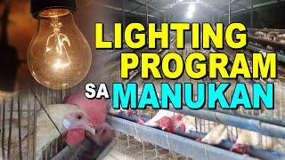 LIGHTING PROGRAM SA MANUKAN