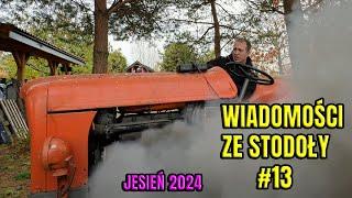 WIADOMOŚCI ZE STODOŁY #13, JESIEŃ 2024, TRAKTORKI W GOTOWOŚCI BOJOWEJ PRZED ZIMĄ.