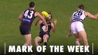 Mark of the Week - Kade Simpson (Rd8)