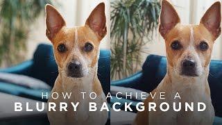How to Achieve Blurry Backgrounds in Photos/Videos | TECH TALK