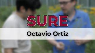 Innovative Biochar Research: Octavio Ortiz's SURE Project at Lewis University