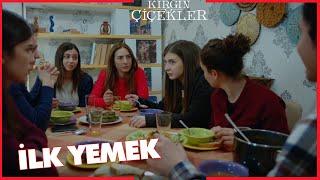 Kırgın Çiçekler Özel Kısa Bölümler | 251