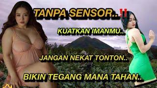 AWAS TANPA SENSOR.. Kehidupan Warga Desa Penghasil Sayur Di Desa Noyogaten, Gunung Andong (Part 2)