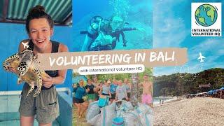 VOLUNTEERING IN BALI - the BEST decision of my life // sea turtle conservation with IVHQ pt 1