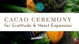 Cacao Ceremony Meditation  - Guided Cacao Ritual -  Sacred Cacao Medicine - Exclusive Cacao Discount