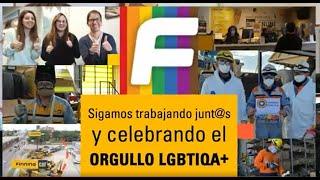 Finning Cat con Orgullo