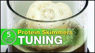 The best way to tune your Protein Skimmer: Learn how in just 5-minutes!