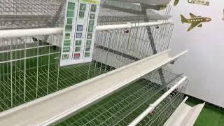 Poultry farming A type 4 tier 160 birds poultry farm galvanized battery chicken layer cages